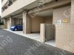 月極駐車場 車室写真 2枚目