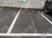 笹塚3 月極駐車場 車室写真 2枚目