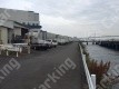 豊海町9 月極駐車場 駐車場外観写真 2枚目