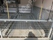 比恵町18 月極駐車場の周辺写真