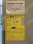 敷津西1 月極駐車場 その他写真 2枚目