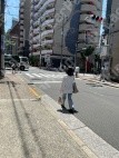 島町2 月極駐車場 駐車場外観写真 2枚目