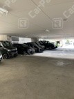 和泉町1 月極駐車場 その他写真 2枚目