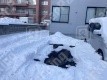 月極駐車場の周辺写真