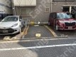 月極駐車場 月極駐車場 車室写真 2枚目