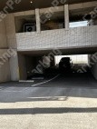 月極駐車場 その他写真 2枚目
