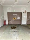 月極駐車場の周辺写真