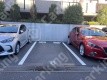 月極駐車場 その他写真 2枚目
