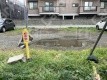月極駐車場 駐車場外観写真 1枚目