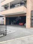 月極駐車場 車室写真 3枚目