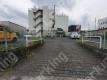 新河岸1 月極駐車場 駐車場外観写真 3枚目