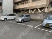 亀戸六 月極駐車場の周辺写真