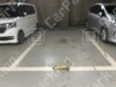 月極駐車場の周辺写真