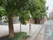 三番町9番4 月極駐車場 駐車場外観写真 3枚目