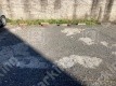 月極駐車場 車室写真 2枚目