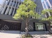 今橋4 月極駐車場の周辺写真