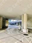 月極駐車場の周辺写真