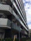 石島3 月極駐車場 駐車場外観写真 1枚目