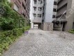 月極駐車場 駐車場外観写真 2枚目