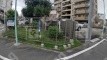 正木1 月極駐車場 駐車場外観写真 1枚目