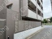 月極駐車場 駐車場外観写真 2枚目