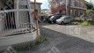 香坂1724 月極駐車場 車室写真 3枚目