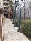 伊勢山1 月極駐車場 駐車場外観写真 5枚目