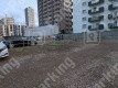 月極駐車場 車室写真 5枚目