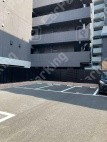 月極駐車場 駐車場外観写真 2枚目