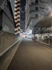 月極駐車場 その他写真 4枚目