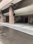 筆ケ崎町6 月極駐車場の周辺写真