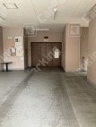 筆ケ崎町6 月極駐車場 車室写真 2枚目