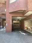 堀越町9 月極駐車場 車室写真 2枚目