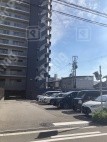 鴫野東1 月極駐車場 車室写真 1枚目