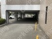 松崎町4 月極駐車場 車室写真 2枚目
