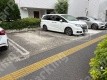 月極駐車場 車室写真 3枚目