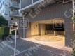 月極駐車場 駐車場外観写真 2枚目