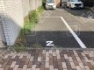月極駐車場 車室写真 2枚目