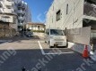 弥生町31 月極駐車場 車室写真 3枚目