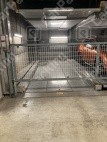 富 月極駐車場 その他写真 4枚目