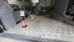内淡路町2 月極駐車場 駐車場外観写真 1枚目