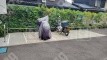 九条3 月極駐車場 車室写真 5枚目