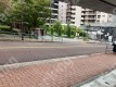 月極駐車場 駐車場外観写真 2枚目
