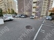 南堀江4 月極駐車場の周辺写真