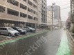 月極駐車場 駐車場外観写真 1枚目