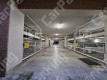 江戸堀3 月極駐車場の周辺写真