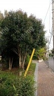 堀ノ内1 月極駐車場 周辺環境写真 3枚目