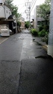 和泉1 月極駐車場 周辺環境写真 2枚目