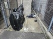 京町堀1 月極駐車場 車室写真 4枚目