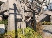 月極駐車場の周辺写真